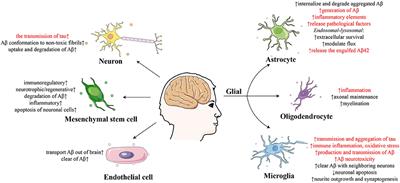 Review on the roles of specific cell-derived exosomes in Alzheimer's disease